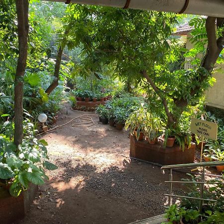 Peace Lily Cottage Karjat Exterior foto